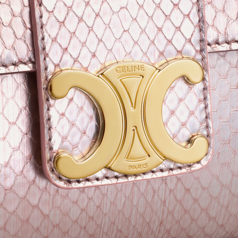 borsa celine victoire per teen in piton perlato