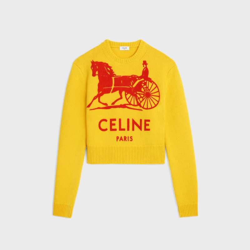 maglione girocollo in cashmere