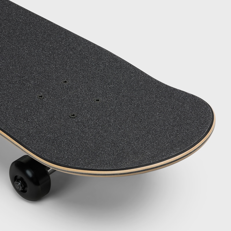 skateboard con stampa serpente e celine